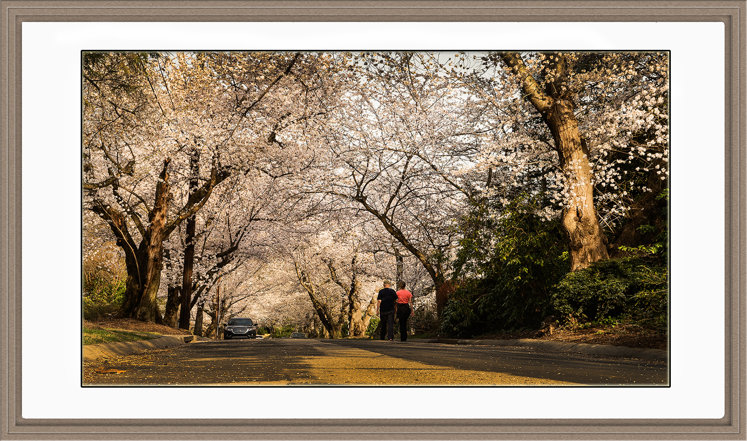 3-27-Cherry Blossom 03.jpg